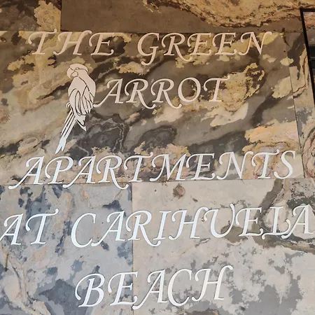 Casa Rosa At Parrot At Carihuela *