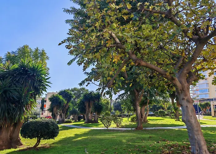 Casa Rosa At Parrot At Carihuela * Torremolinos